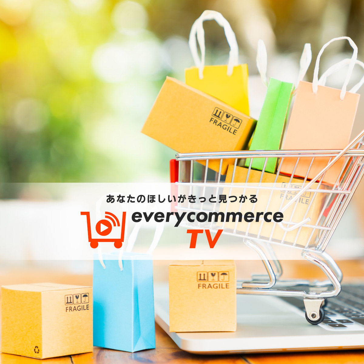 あなたのほしいがきっと見つかる everycommerce TV