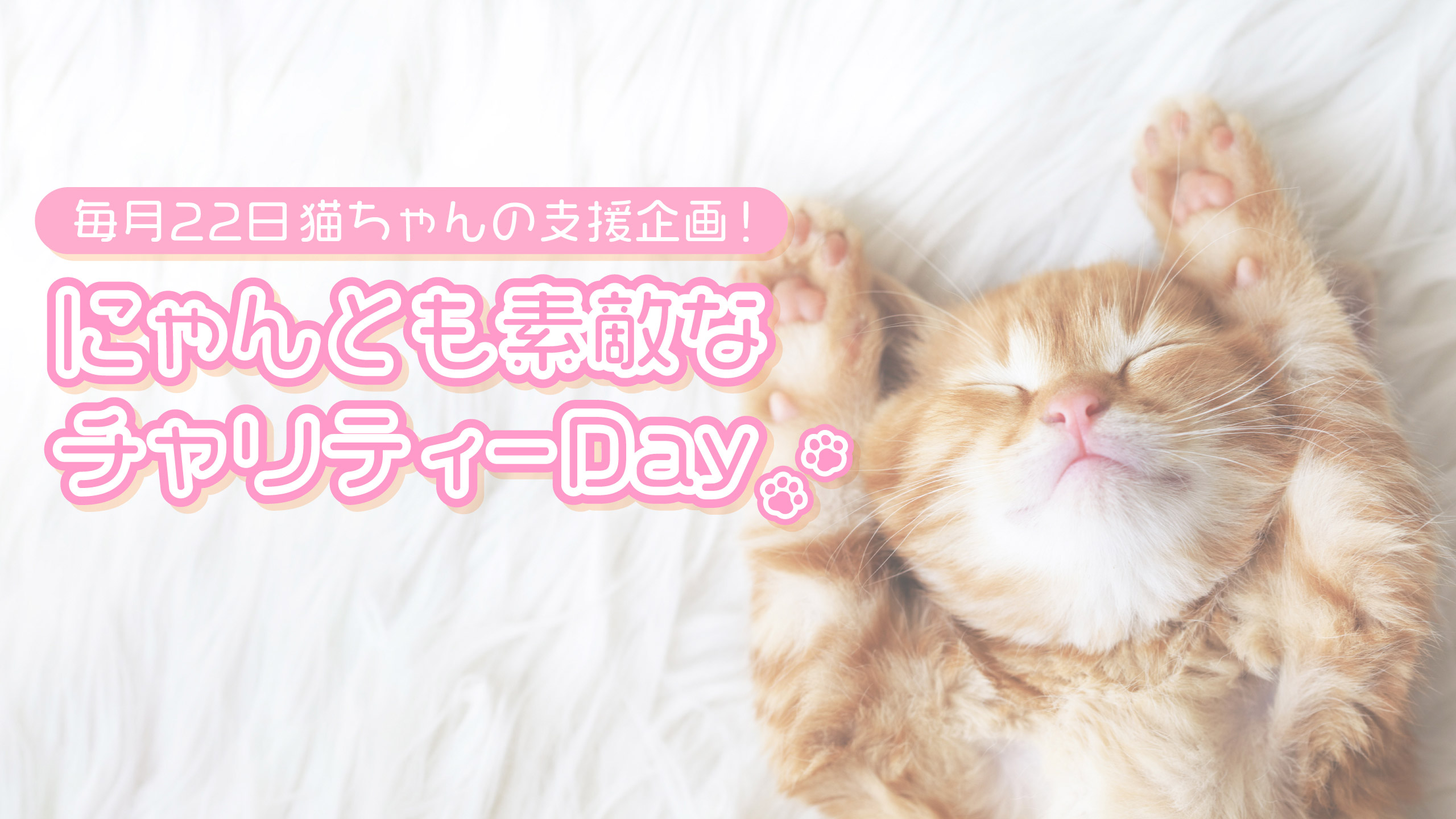 【猫ちゃん支援企画】にゃんとも素敵なチャリティーDay