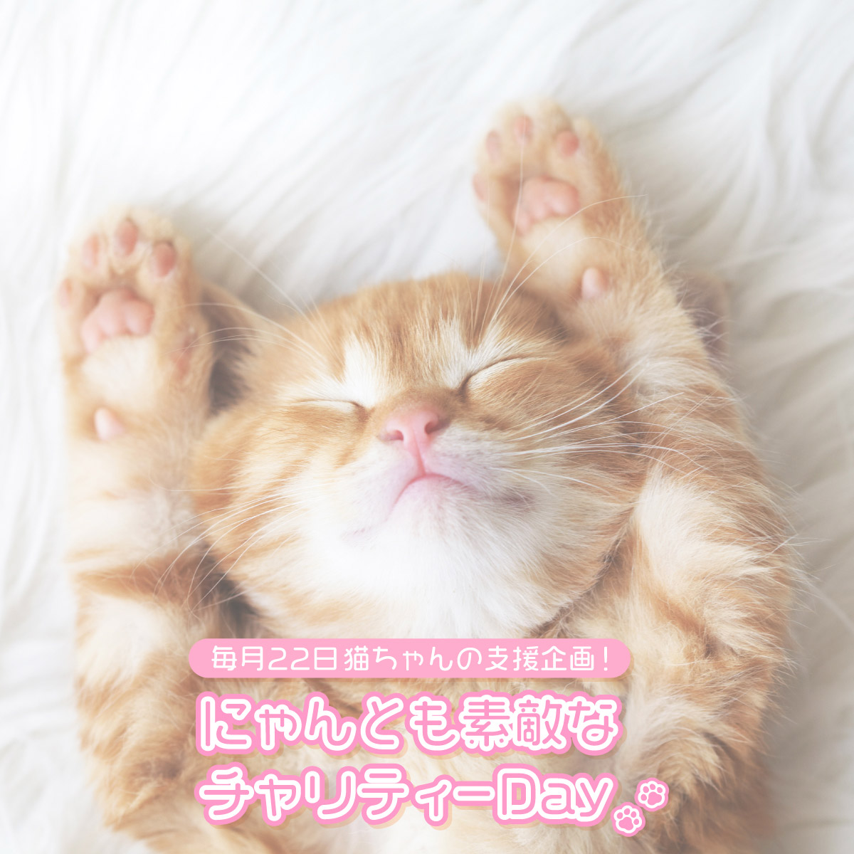 【猫ちゃん支援企画】にゃんとも素敵なチャリティーDay