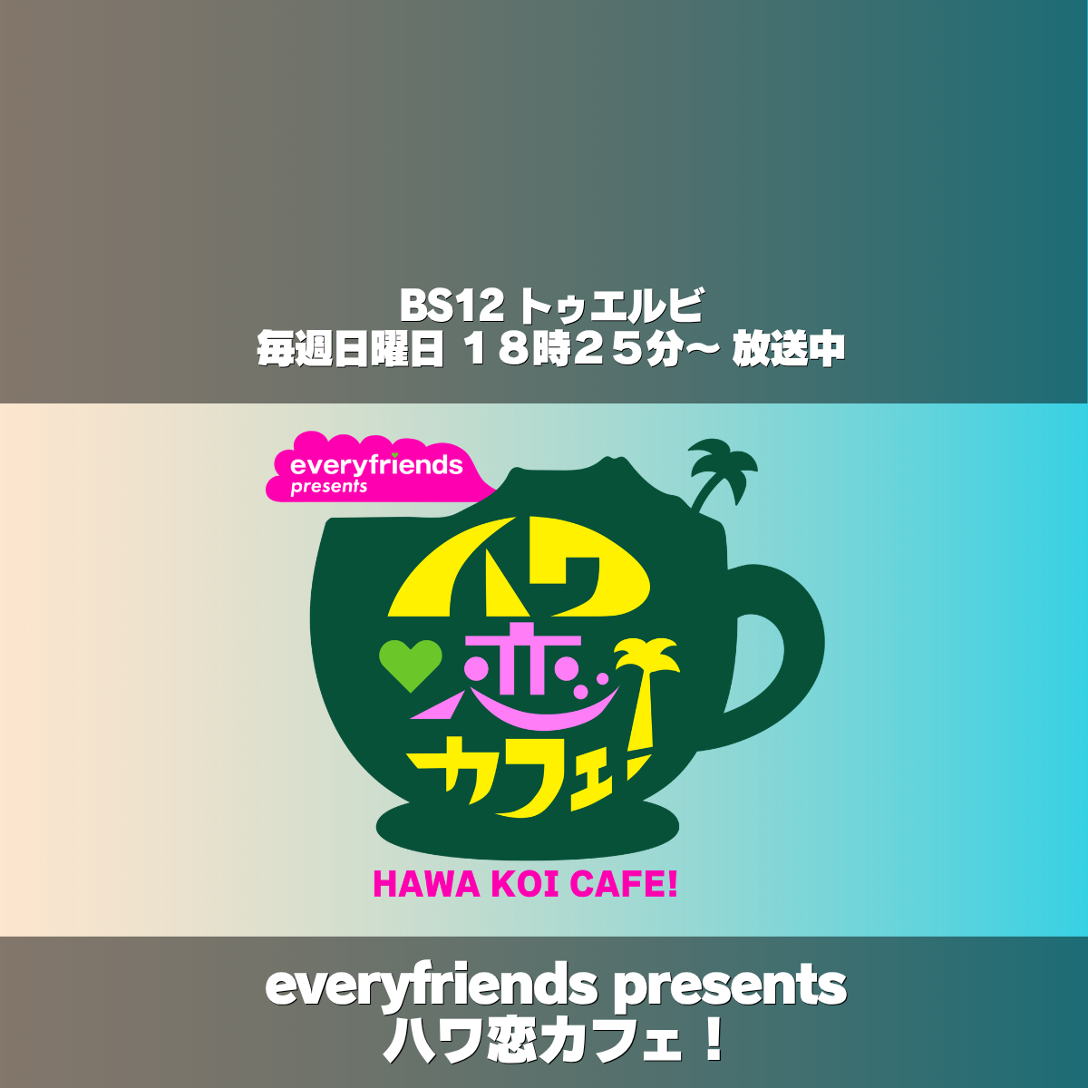 エブリライブ×BS12「ハワイに恋して！」